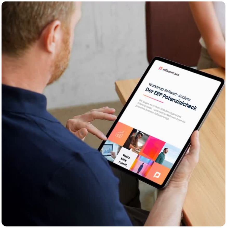E-Book ERP-Potenzialcheck